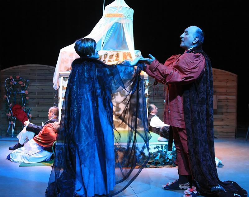 Baladins Breuil Magne Songe nuit d'ete fev 2009_044.jpg